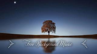 1 Hour Upbeat Background Music Best MBB Music Collection Free Download, No Copyright