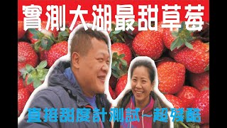 【小施夫妻】［實測 苗栗 大湖 最甜草莓］🍓,直接甜度計測試~殘酷,直接測大湖草莓園哪間最甜?[草莓甜度哪間最甜?]#苗栗大湖#採草莓#親子#草莓園#高架草莓#苗栗#大湖 #推薦 給各位 #美食