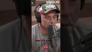 Joe Rogan about committing suicide