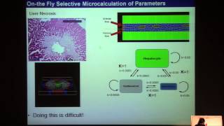 Towards Virtual Tissues- multi-cell modeling using CompuCell3D- Maciej Swat