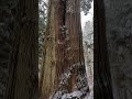 比婆山熊野神社二宮神社周辺＃広島パワースポット