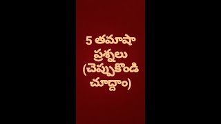 Chikku prashnalu in telugu//చిక్కు ప్రశ్నలు//తమాషా ప్రశ్నలు/simple logical funny questions