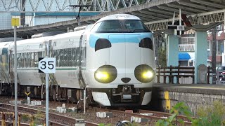 パンダくろしお🐼 白浜駅から出発していくシーンをみよう🐼