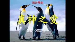 一曲兩唱《楊翠喜》1 福音粵曲《真神之愛》2 粵語小曲 《分飛燕》