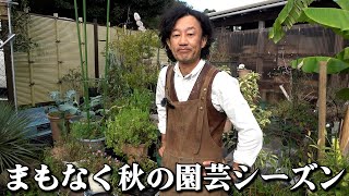 【10月管理】ラボのメンテナンスを行います【カーメン君】【園芸】【ガーデニング】