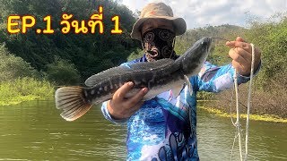 ล่องแพตกปลาในเขื่อนศรีนครินทร์ 3 คืน 4 วัน  EP.1 ตอน ถึงจุดตวจกลางน้ำอุทยานแห่งชาติเขื่อนศรีนครินทร์