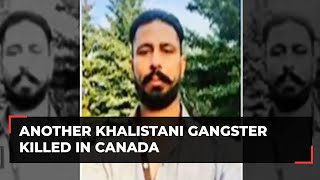 Another Khalistani gangster, Sukhdool Singh killed in Canada