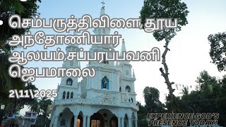 செம்பருத்திவிளை, தூய அந்தோணியார் ஆலயம்,சப்பரப்பவனி ஜெபமாலை,நேரலை.