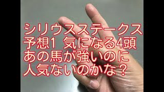 【負けられない戦い】シリウスステークス 2017 予想1 あの馬人気ないならおいしいなぁ