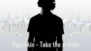 Tigerskin - Take the e-train [ Minimal Techno ]