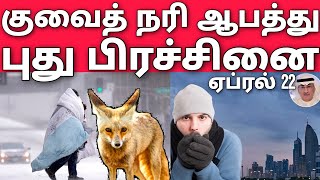 குவைத் போலிஸ் உடையில் ஆப்பு | குவைத் எச்சரிக்கை நரி உலவுகிறது | Kuwait tamil news | tamil news