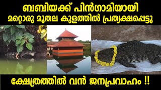 ബബിയക്ക് പിൻഗാമിയായി മറ്റൊരു മുതല കുളത്തിൽ പ്രത്യക്ഷപ്പെട്ടു ,  ക്ഷേത്രത്തിൽ വൻ ജനപ്രവാഹം !!