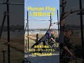 human flag人間鯉のぼり shorts