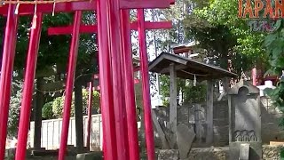 豊川稲荷神社・氷川神社　埼玉県和光市白子3-27