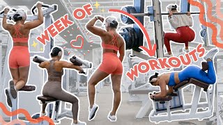FULL WEEK OF GYM WORKOUTS | Gym Routine