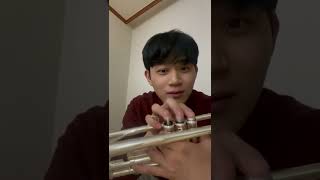 [트럼펫 6주차] 연습은 계속 하고 있으나 성장이 좀 더딘 관계로 트럼펫 ASMR🎺🫠 trumpet 트린이