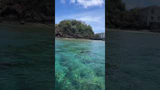 snorkeling at goat Island tobago  🇹🇹