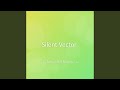 Silent Vector