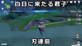 【原神】稲妻デイリー任務「白日に来たる君子」刃連島【物資を入手して安全地帯に撤退する】