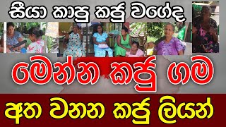 සීයා කාපු කජු වගේද | මෙන්න කජු ගම | Kalu Sudda