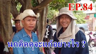 นกติดดุเกิดจากอะไรแล้วจะแก้อย่างไร EP.84