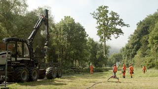 Helikoptereinsatz in der Weltenburger Enge I Bayerische Staatsforsten