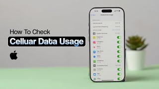 How to Check Cellular Data Usage on iPhone?