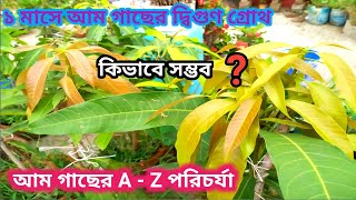 ১বার প্রয়োগে আম গাছের গ্রোথ হবে দ্বিগুণ।আম গাছে নতুন ব্রাঞ্চ অনার সিক্রেট টিপস।@greenfriends8901