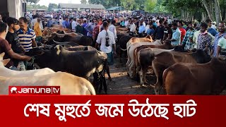 শেষ দিনে চট্টগ্রামে ২ শতাধিক পশুর হাটে বেচাকেনা জমজমাট | Cow Market