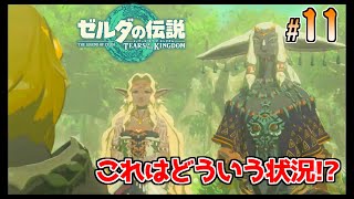 A person who shouldn't exist in front of me... [The Legend of Zelda TotK] #11