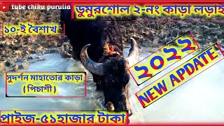 ডুমুরশোল আসরের ২-নং কাড়া । birat kara lorai