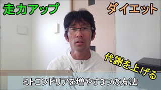 走力アップとダイエットに必要な代謝を上げるミトコンドリアを増やす3つの方法