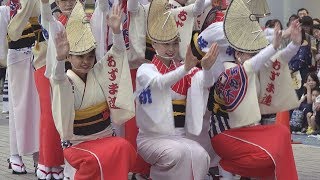 阿波踊り「あずま連・新橋連・蜻蛉連合同」第6回小岩阿波おどり（2019.7.6）