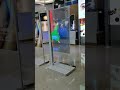 OLED transparent display