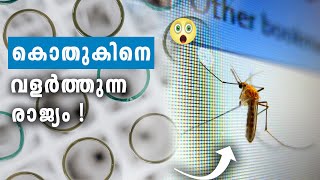 കൊതുകിനെ 🦟 വളർത്തുന്ന രാജ്യമോ 😯 #topmostmalayalam  #short #shorts