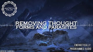 Removing Thought Forms and Parasites / Energetically Programmed Audio / Maitreya Reiki™