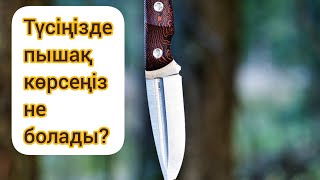 ТҮСІҢІЗДЕ ПЫШАҚ КӨРСЕ НЕ БОЛАДЫ? Қазақша түс жору.