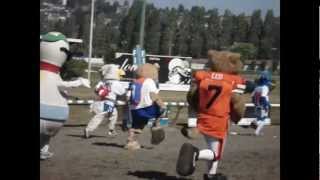 2010 Mascot Race at Hastings Bowl Vancouver