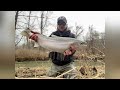 small creek big rainbow trout fly fishing finger lakes ny