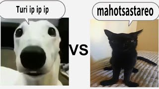 turi ip ip ip vs mahotsastareo (Epic Rap Battle)