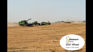 Steinert Farms Wheat harvest 2021- June 22, 2021