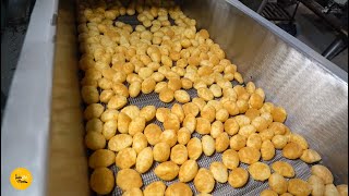 India's Biggest Hygiene Panipuri Making Mega Factory With Zero Percent Maida l Surat Street Food