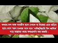 কখন নাউজুবিল্লাহ দোয়াটি পড়তে হয়।। আউজুবিল্লাহ এর অর্থ। নাউজুবিল্লাহ