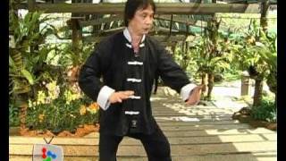 Martial Arts for health with Malaysian expert Austin Goh