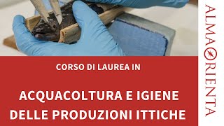 Laurea in Acquacoltura e igiene delle produzioni ittiche