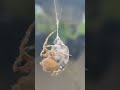 Spider Fight sinabayan ng malakas na hangin