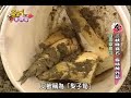 亞洲最好客 第32集三峽白雞醬菜 陳鴻