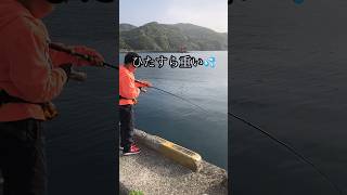 【驚愕】釣り史上衝撃の予想外すぎる釣果#shorts #fishing #釣り