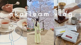 社会人１週間vlog｜結婚記念日/出勤日ランチ/BIOPLE FES/お花見/購入品紹介