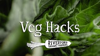 Spring Greens | Two Fantastic Spring Green Wraps | VEG HACKS